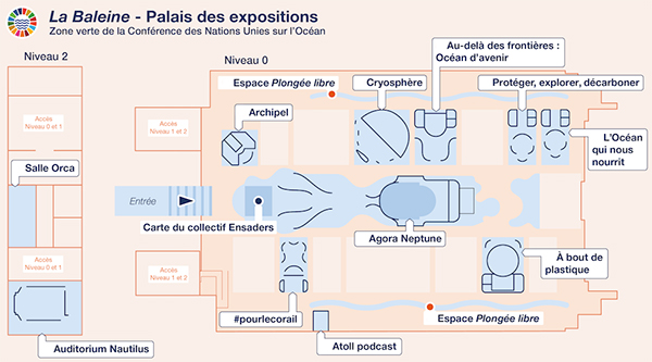 Plan simplifié de la baleine, Palais des Expositions à Nice