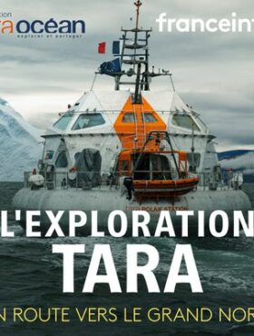 L’exploration Tara : En route vers le Grand Nord