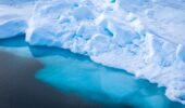 Banquise Arctique