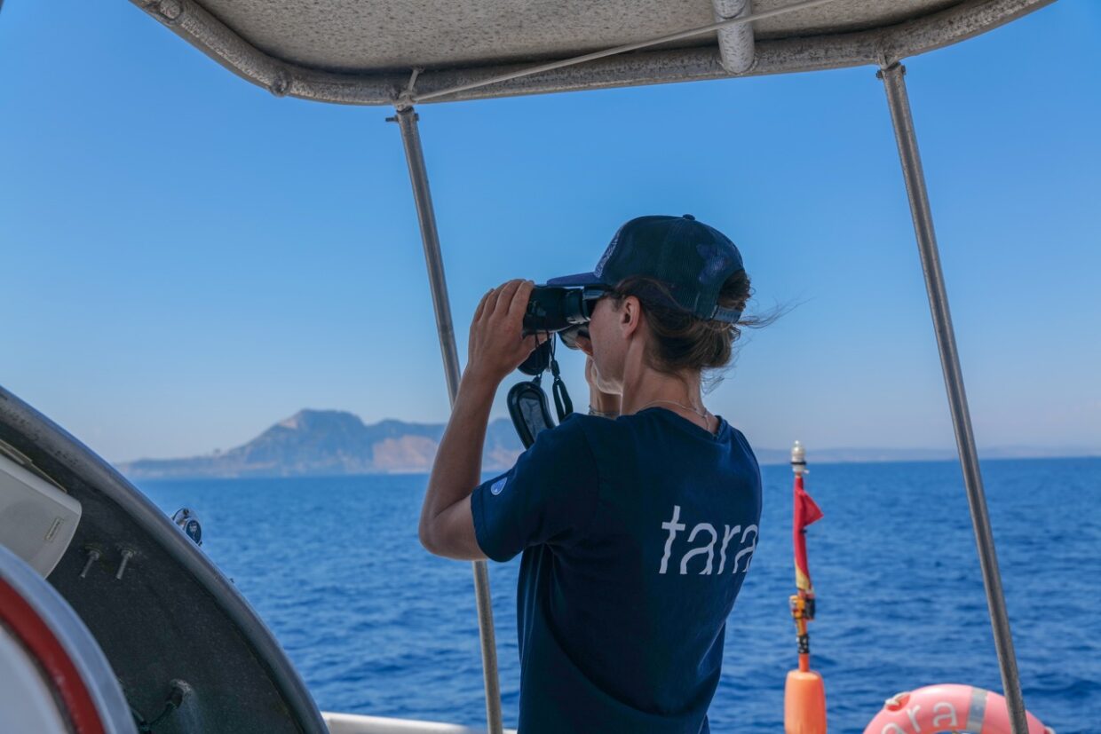 Emmanuelle Bily, marin sur la goélette Tara, s’aide des jumelles ©️Clémentine Benac - Fondation Tara Ocean