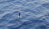 Récupération d’une balise Argo par la goélette Tara en mer Méditerranée ©️Clémentine Benac - Fondation Tara Océan