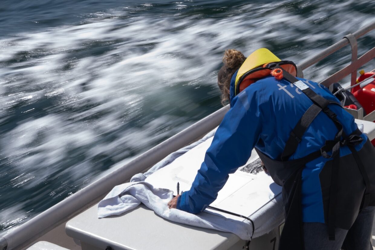 Artist Yann Bagot in residence © Anne-Kristell Jouan - Tara Océan Foundation