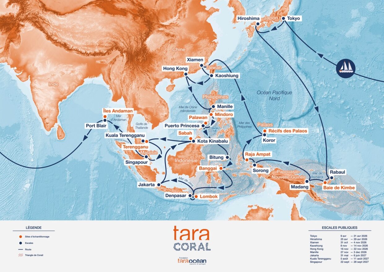 tara-coral-foundation-tara-ocean card