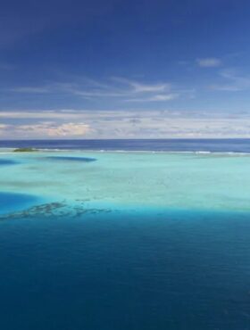 イベント告知: 11/25(火) 海と地球の未来を考えるトークイベント 東京・アンスティチュ・フランセ