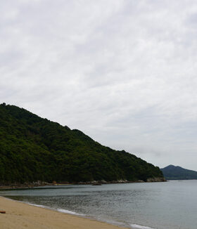 参加者募集: 3/9(月) Awashima Heart Project 2026