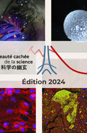 サイエンスフォトコンテスト 2024「科学の幽玄 – Beauté cachée de la science（科学に秘められた美）」募集開始