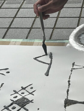 Tara JAMBIO ブルーカーボンプロジェクト佐渡調査・啓発イベントレポート
