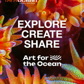 「Art for the Ocean」タラ号乗船アーティスト募集中