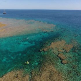 タラ号太平洋プロジェクト (2016-2018)サンゴ礁のユニークな生物多様性