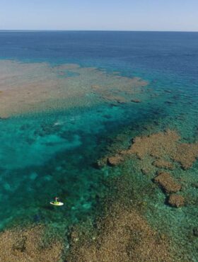 タラ号太平洋プロジェクト (2016-2018)サンゴ礁のユニークな生物多様性
