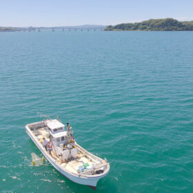 日本沿岸におけるマイクロプラスチック汚染の実態を明らかにする最新研究