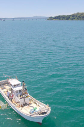 日本沿岸におけるマイクロプラスチック汚染の実態を明らかにする最新研究