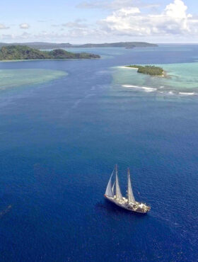 サンゴに関する10の事実：海の生物多様性を支える重要な存在