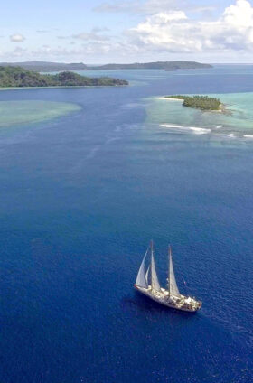 サンゴに関する10の事実：海の生物多様性を支える重要な存在