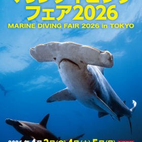 イベント告知: マリンダイビングフェア 2026 東京・池袋