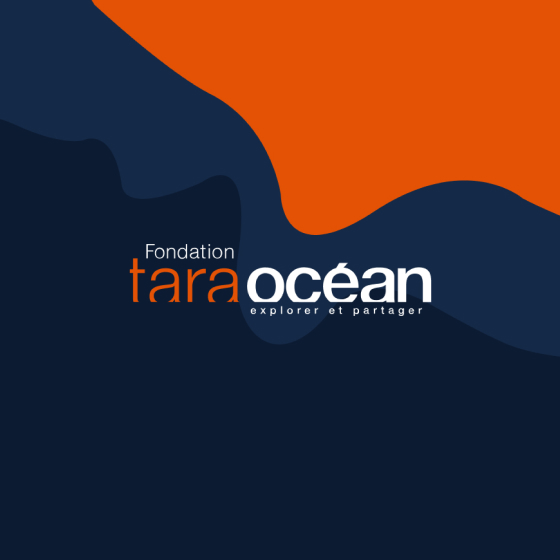 Vidéo « Plancton »