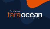 Jobs at a shipyard: an inside look at the Tara Polar Station shipyard