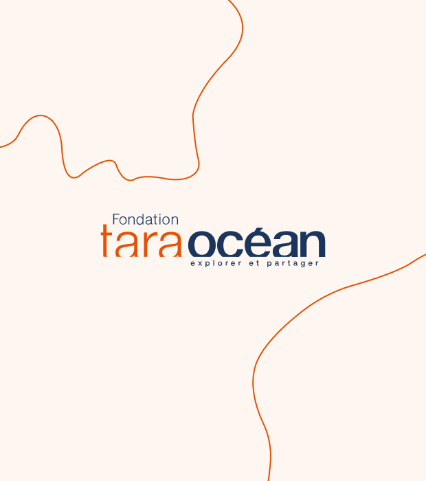 Jobs at a shipyard: an inside look at the Tara Polar Station shipyard