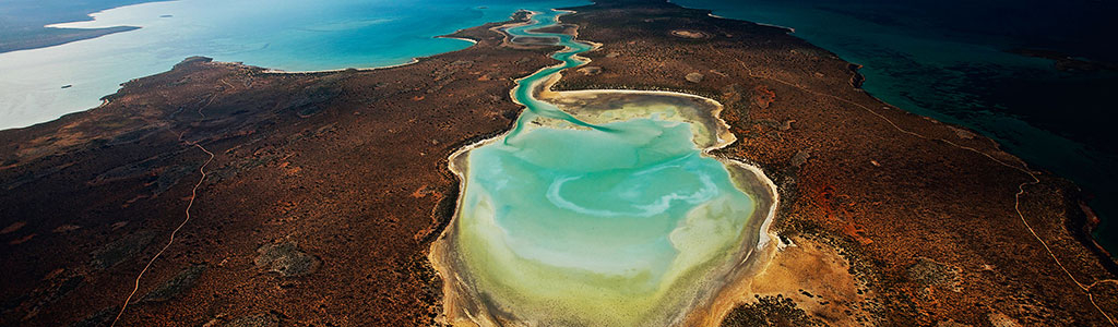 Documentaire tara planète océan