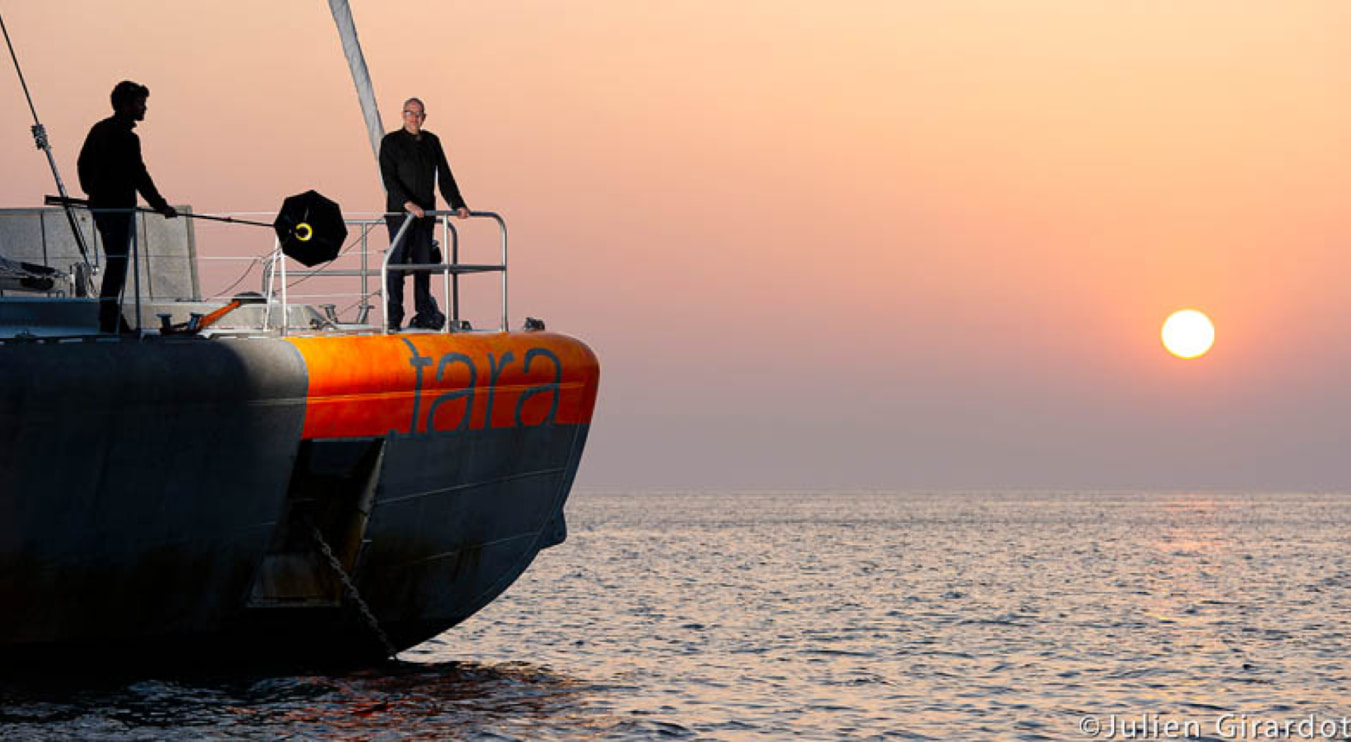 La goélette tara au coucher de soleil