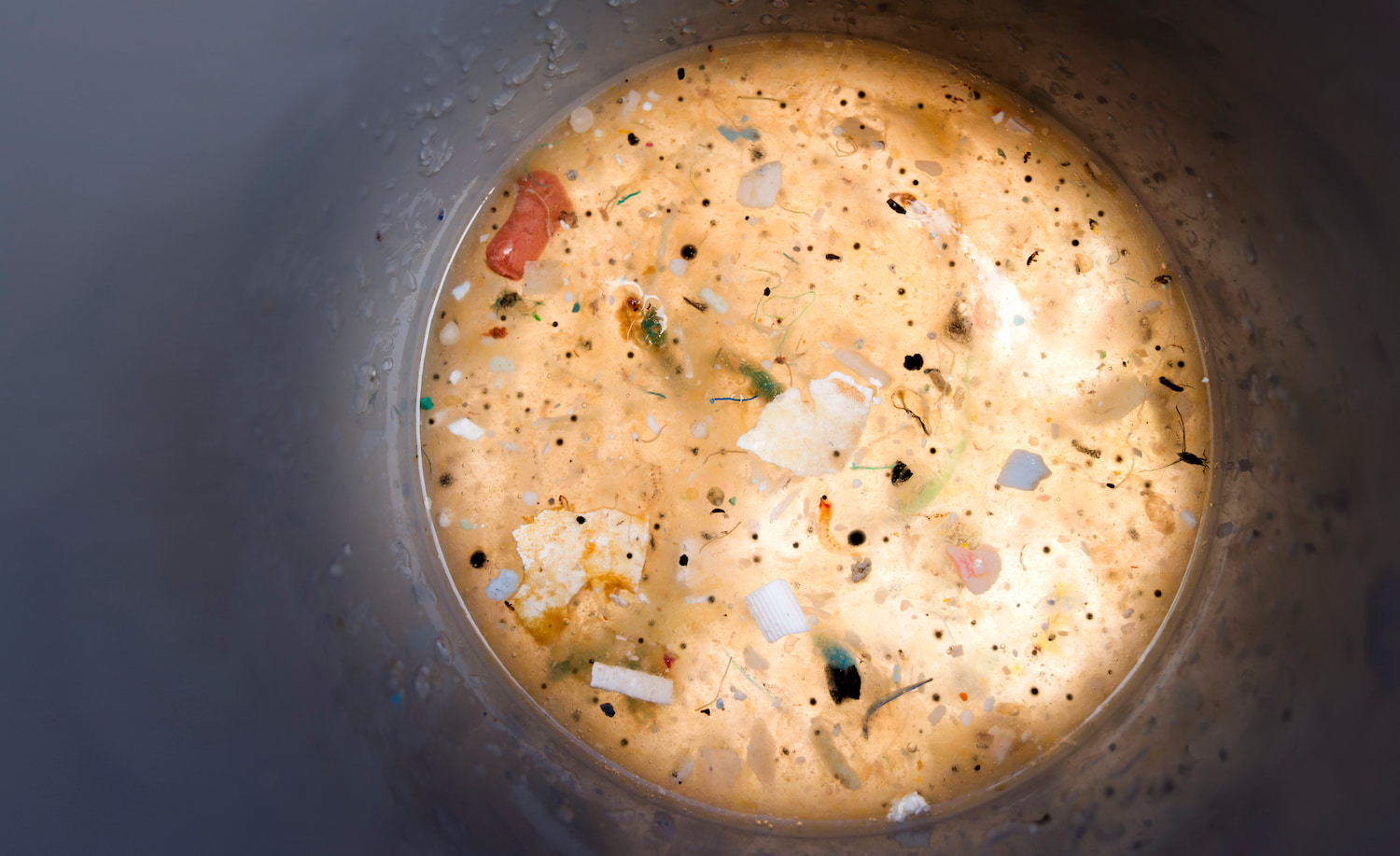 Photographie Samuel Bollendorf