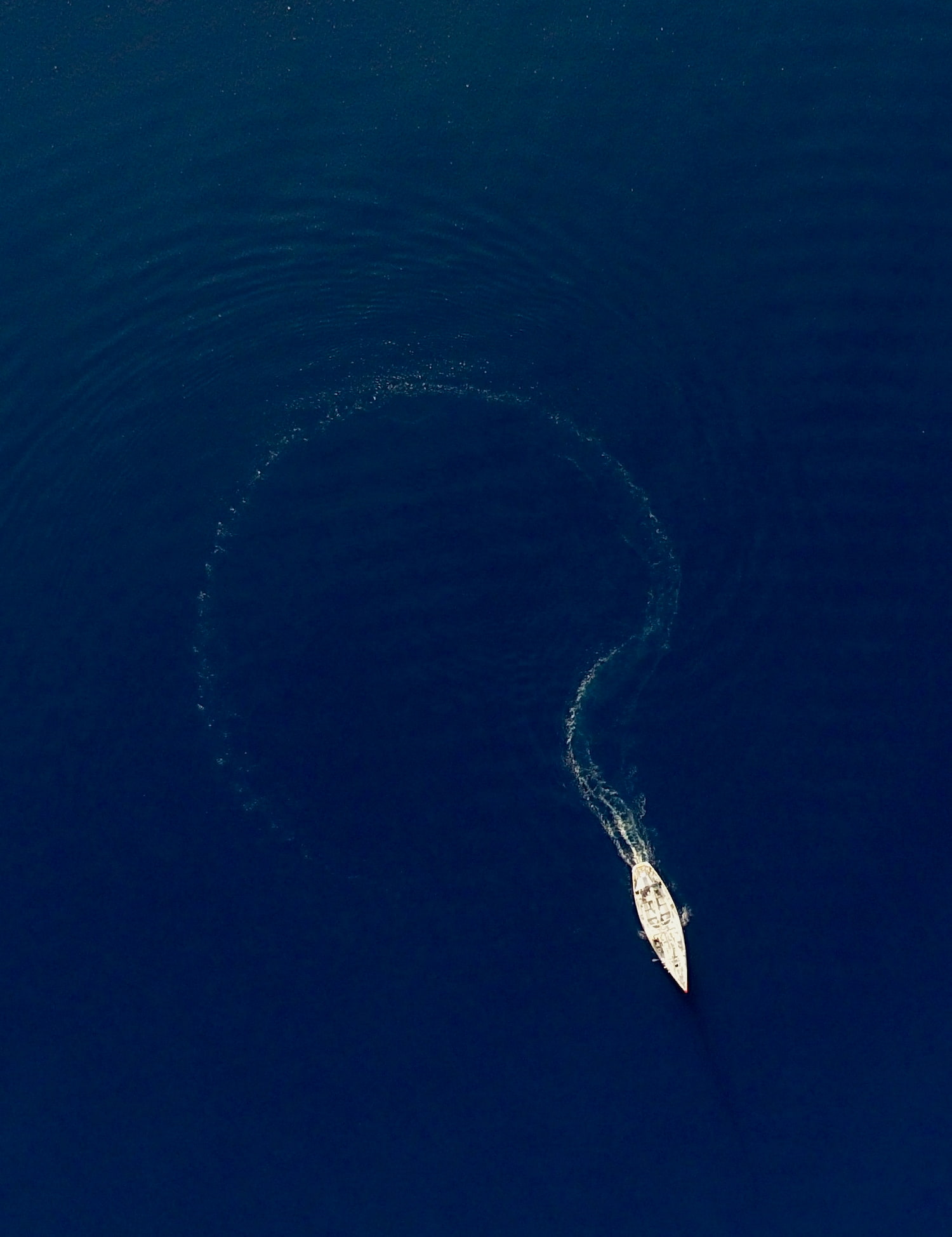 Tara dessine un point d'interrogation en pleine navigation