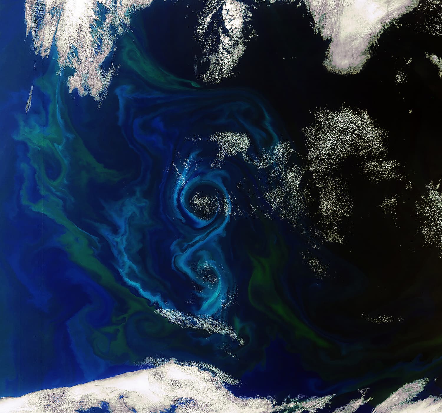 Efflorescence de plancton végétal appelé "bloom phytoplanctonique".