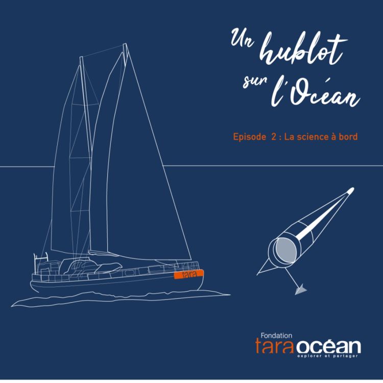 Podcast de Tara - épisode 2 : l'aventure scientifique