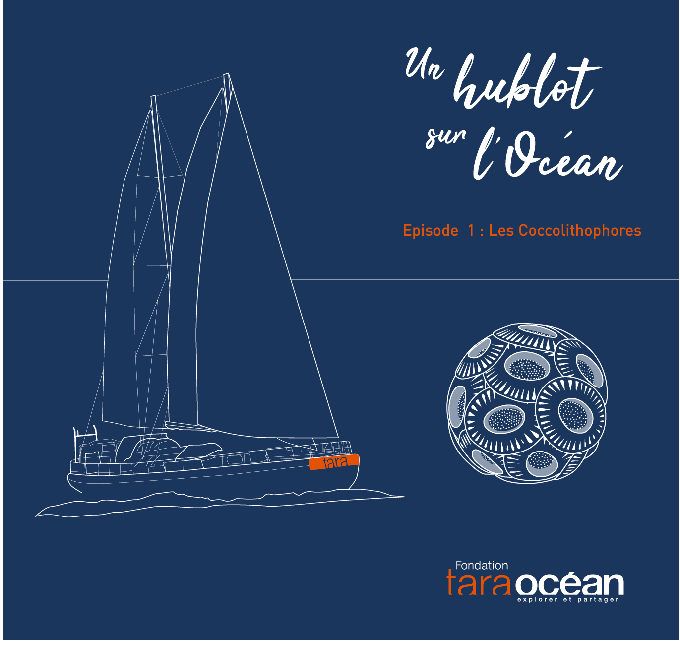 A porthole on the ocean - episode 1: Coccolithophores