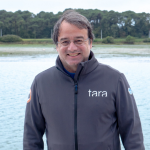 André Abreu, Chargé de mission Relations internationales