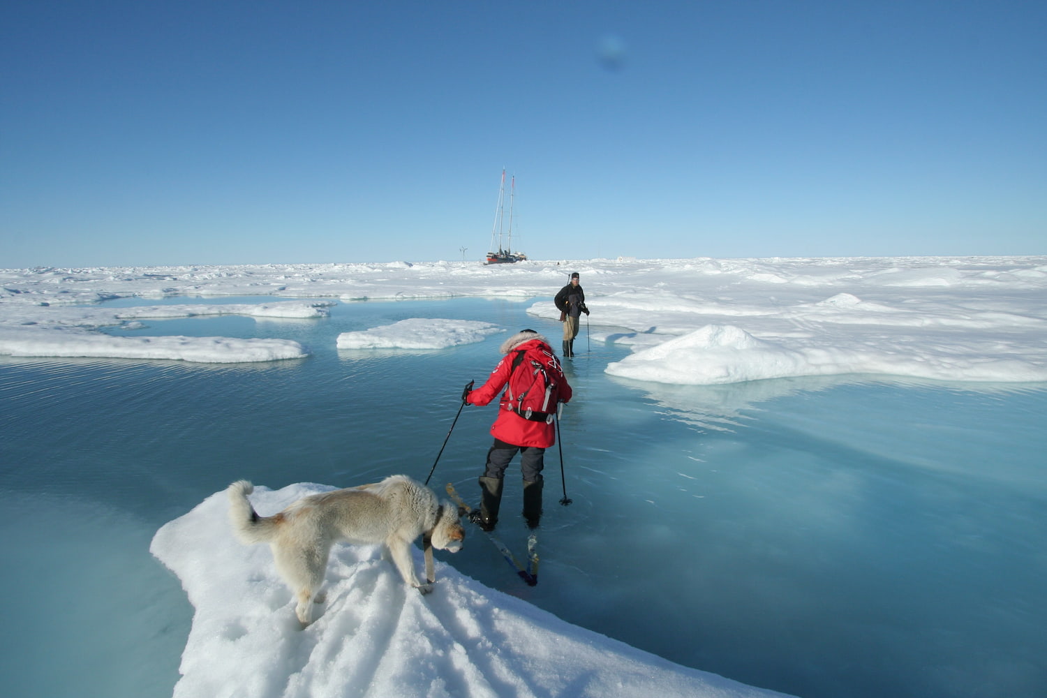 L'équipage se promène sur la banquise
