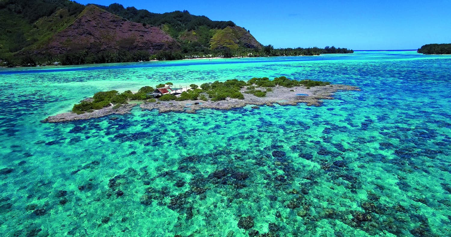 Lagon de Moorea pendant la mission Tara Pacific
