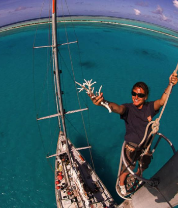 Tara Pacific : en haut du mat une chercheuse tient un corail.