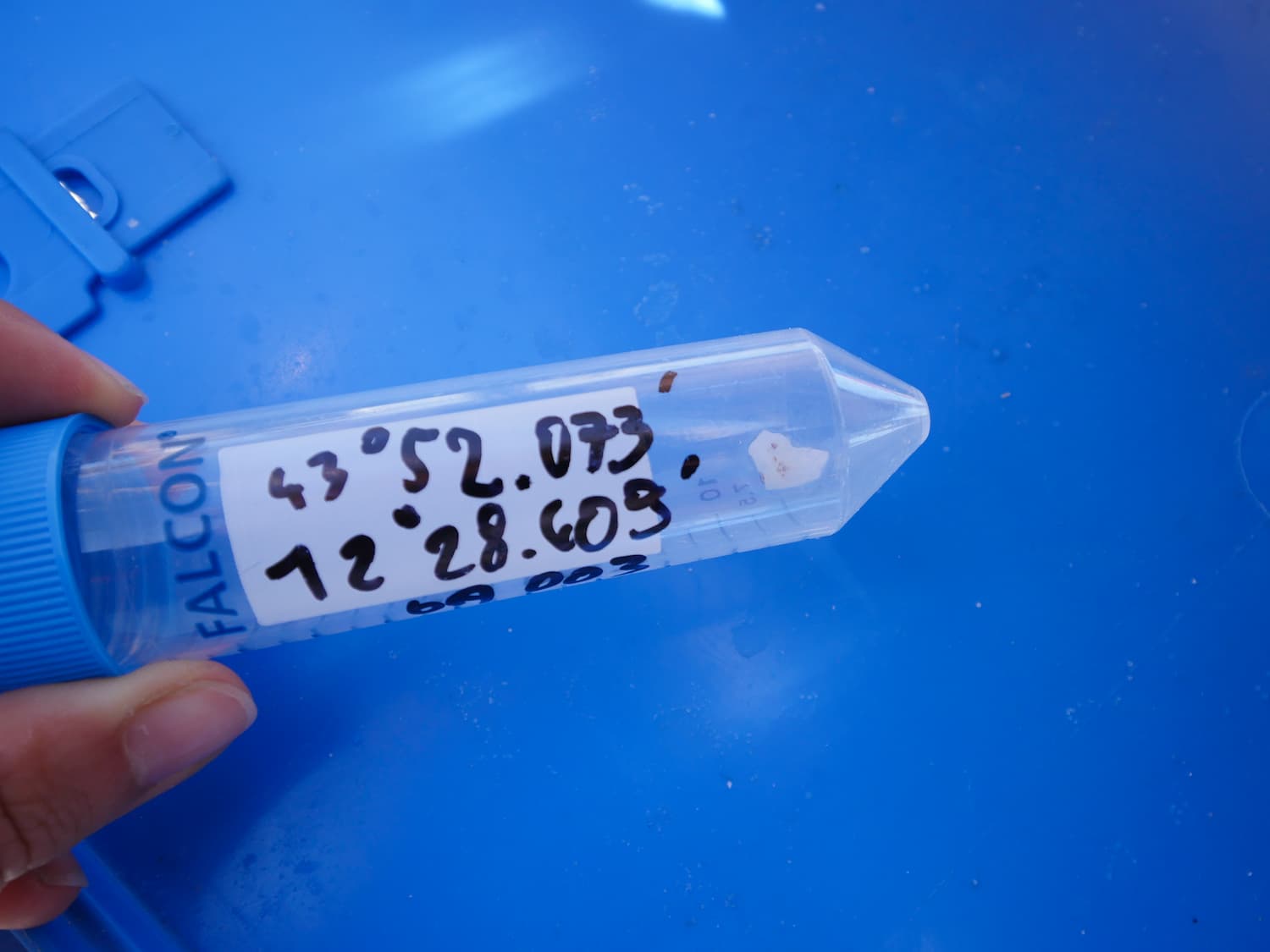 Echantillon d'eau de mer - Fondation Tara Océan