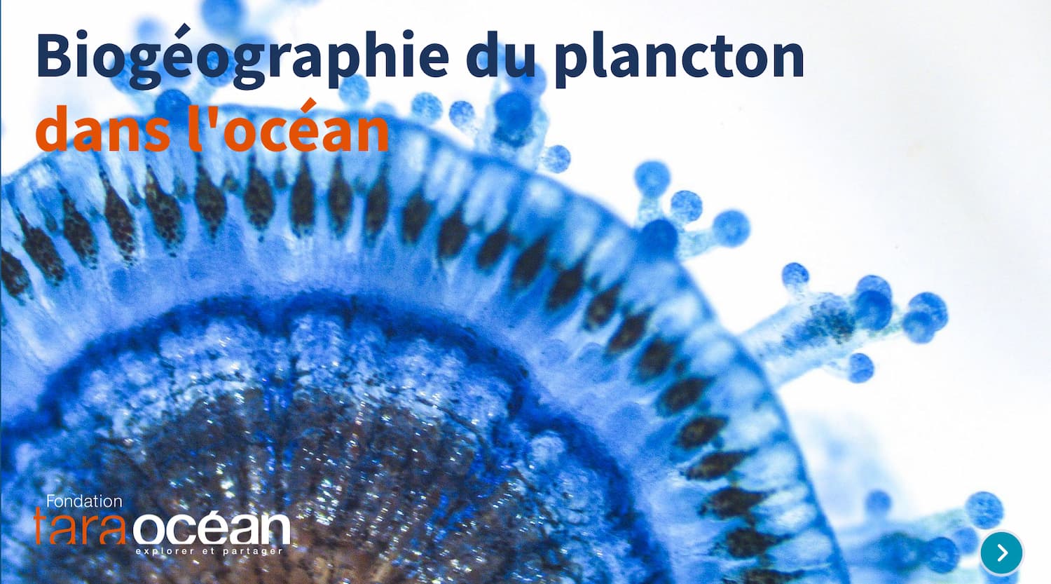 Kit de données pédagogiques