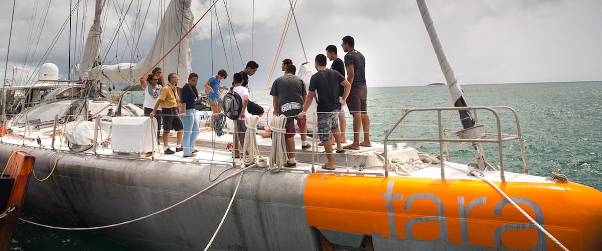 Des lycéens français à bord à Tara