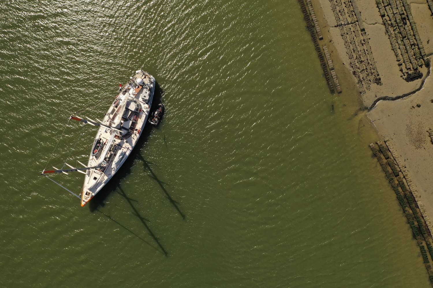 Tara à Roscoff 2023