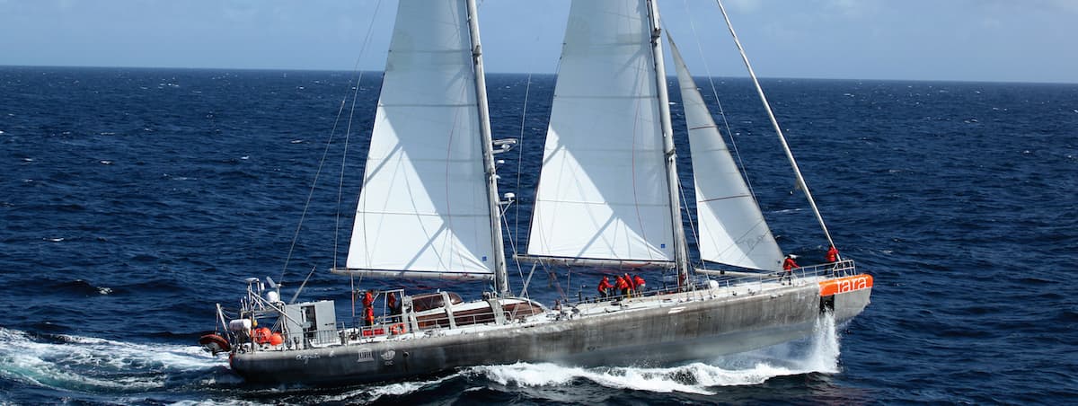 Goélette Tara voiles au vent