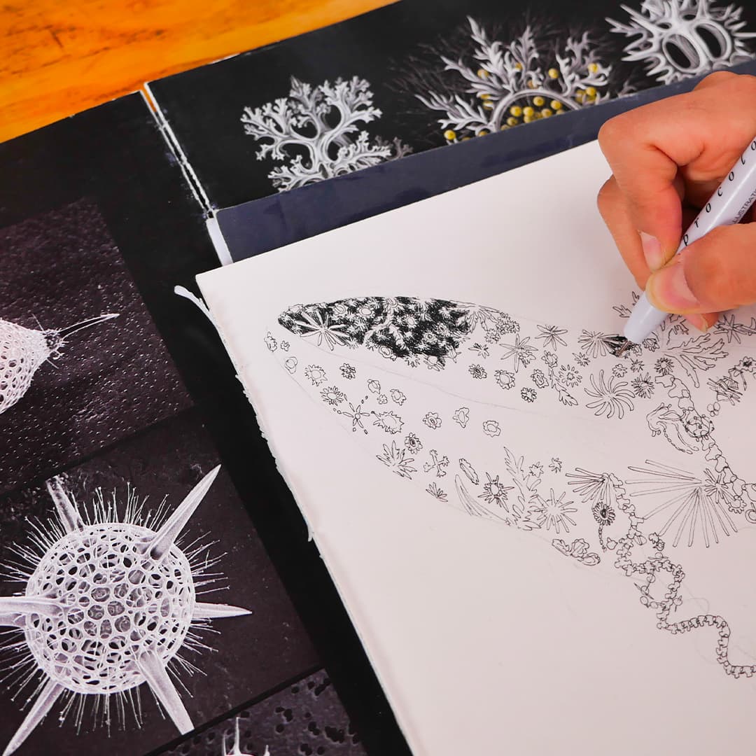 Artistes en résidence sur la goélette Tara