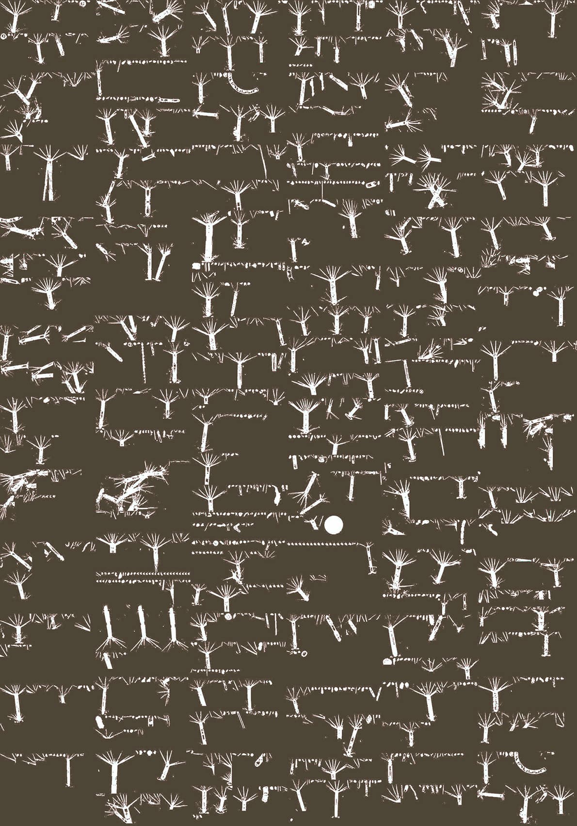 Représentation de la Mer de Weddell