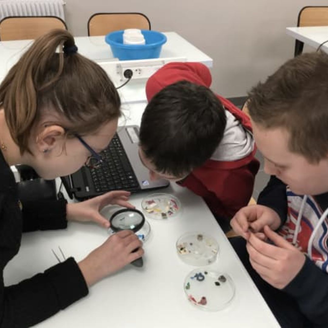 Séance de tri dans le Collège André Siegfried de l’académie de Normandie