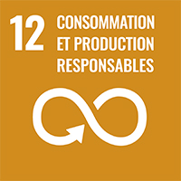 ODD 12 - Consommation et production responsables