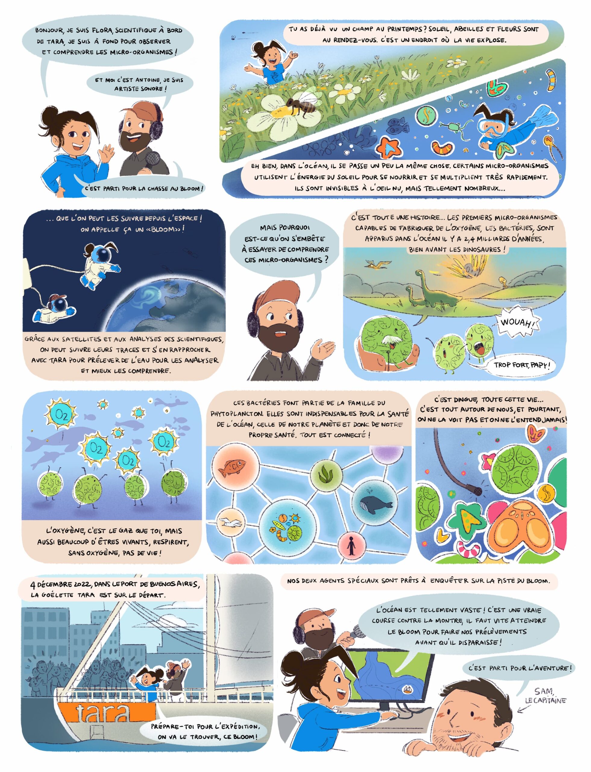 BD "La Chasse au Bloom"