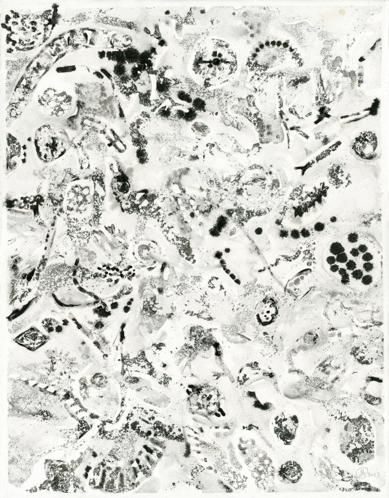 Planctons #02, 2023 © Yann Bagot, Adagp, Paris