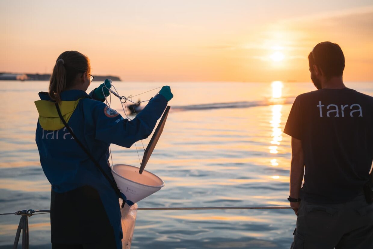 Prélèvement d'échantillons à bord de Tara