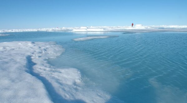 Banquise Tara Arctic