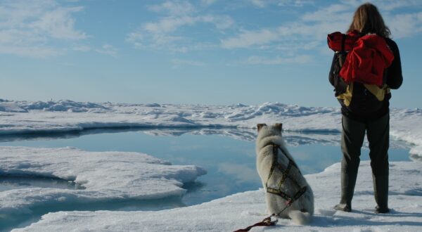 Equipage sur la banquise