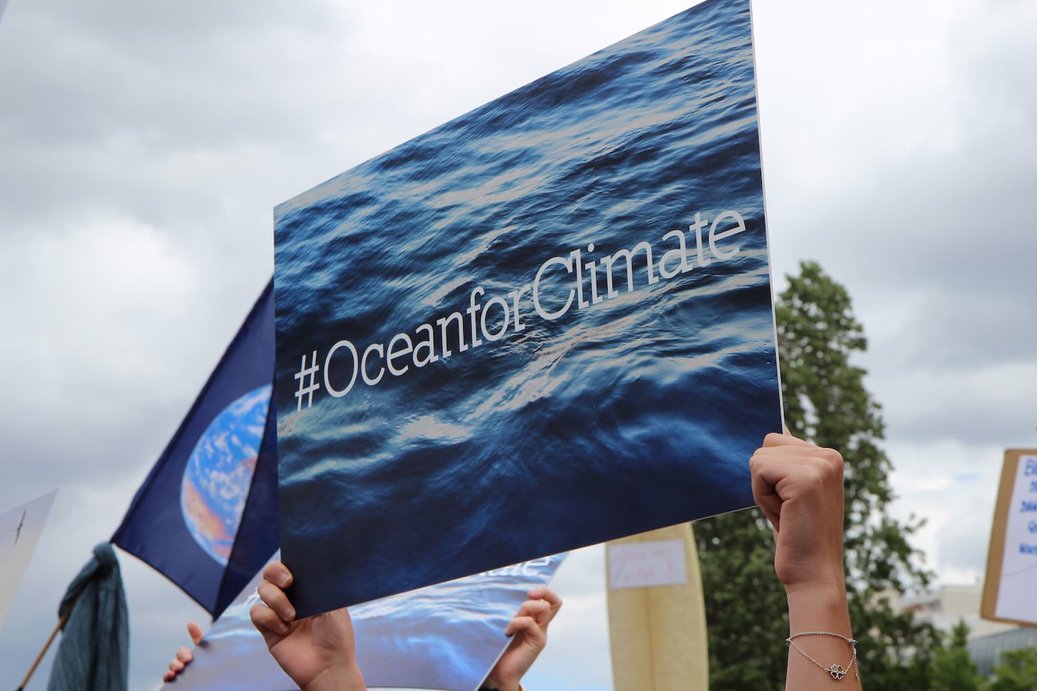 Credit: Terry Ouzara