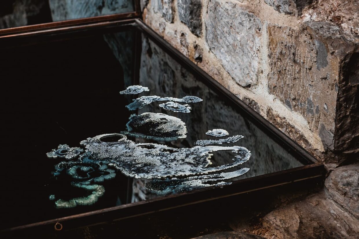 Œuvre de Arianna Pace