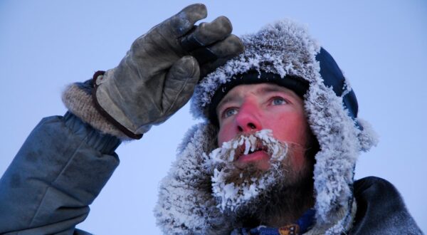 Tara Arctic : portrait